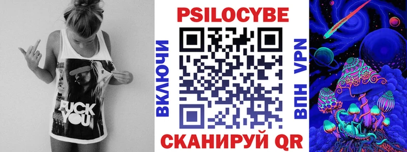 Галлюциногенные грибы Psilocybine cubensis  Константиновск 